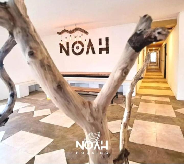 Auberge de jeunesse Noah Housing à Santo Tomé Extérieur photo